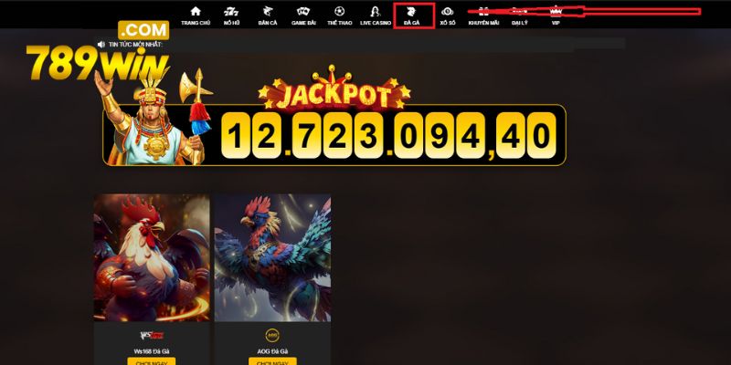 Nhanh tay nhấn vào danh mục đá gà để cá cược ngay hôm nay