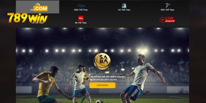 Tìm hiểu về danh mục cá cược thể thao 789win