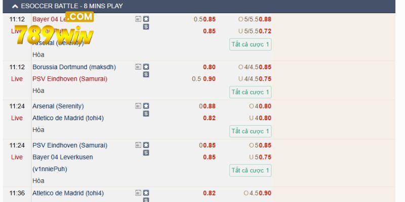 Đặt cược cho loại kèo mà mình yêu thích